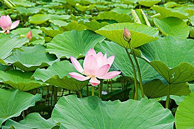 育碧联合GGJ环保行动开始！多款游戏现已推出环保活动